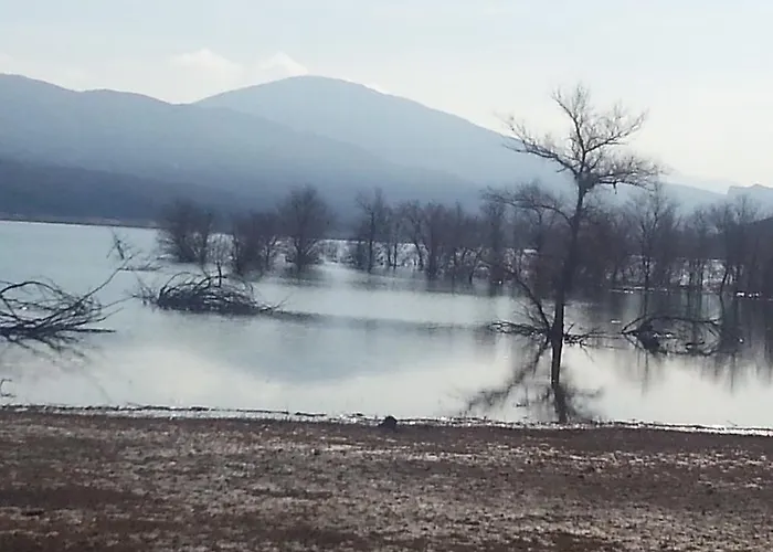 招待所 El Capricho De Nieves